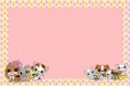/album/fotogaleria-inicio/pet-shop-1convite11-jpg/